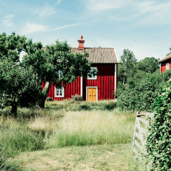 The Directory - Your guide to buying a Norrland house