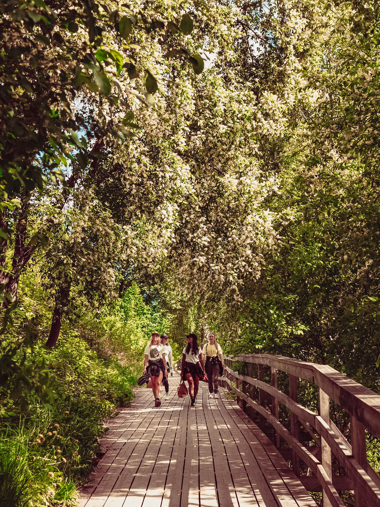 Experience the wonders of summer: These hiking trails are perfect for families!