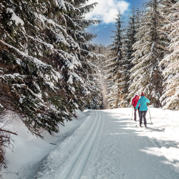 Glide into winter: Family-friendly cross country skiing trails